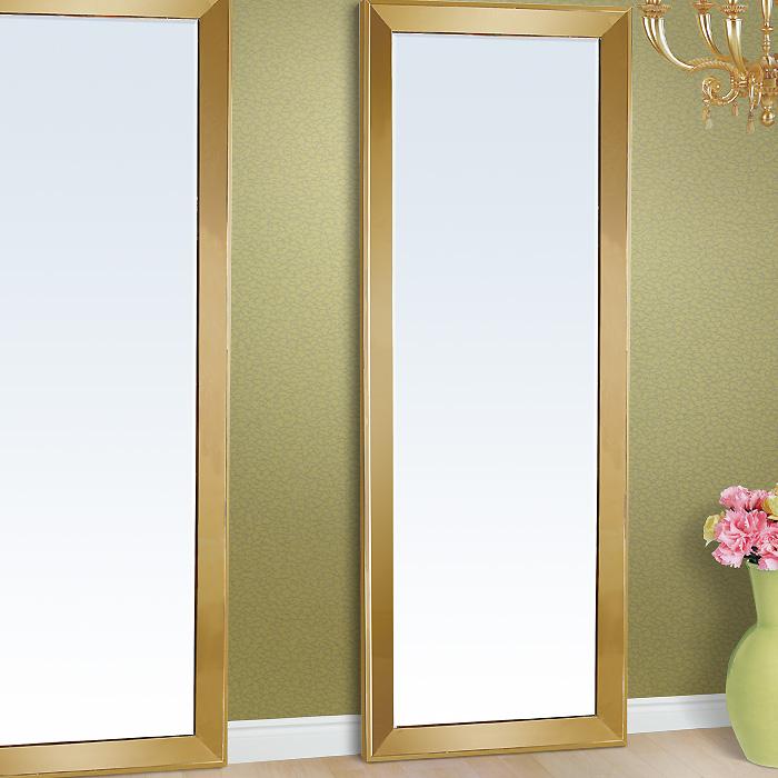 Stainless Steel Mirror Frames